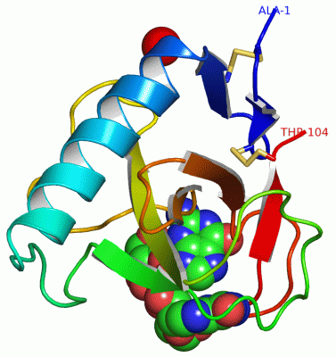 Image Asym./Biol. Unit - manually