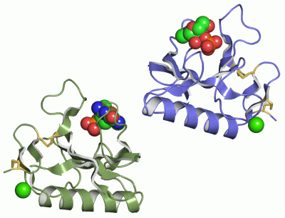 Image Asym.Unit - manually