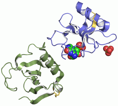 Image Asym./Biol. Unit - manually