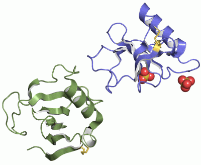Image Asym./Biol. Unit - manually