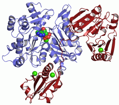 Image Asym./Biol. Unit - manually