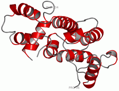 Image Asym./Biol. Unit - manually