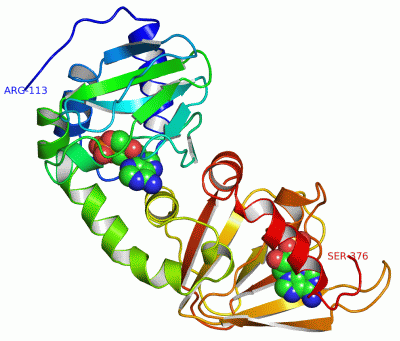 Image Asym./Biol. Unit - manually