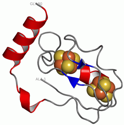 Image Asym./Biol. Unit - manually