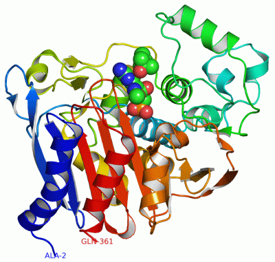 Image Asym./Biol. Unit - manually