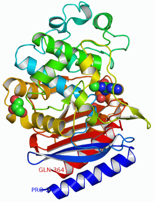 Image Asym./Biol. Unit - manually