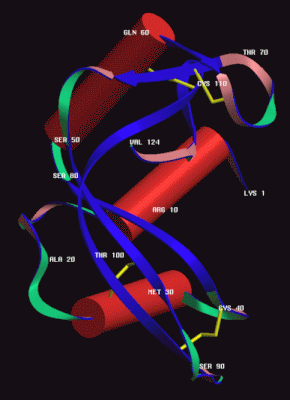 Image Asym./Biol. Unit - manually