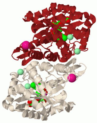 Image Biol.Unit 1 - manually