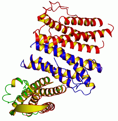 Image Asym./Biol. Unit - manually