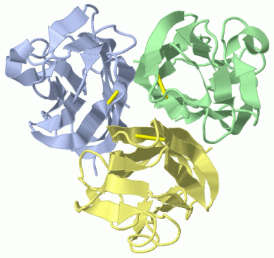 Image Biol.Unit 1 - manually