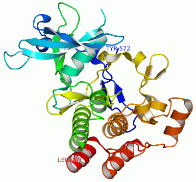 Image Asym./Biol. Unit - manually