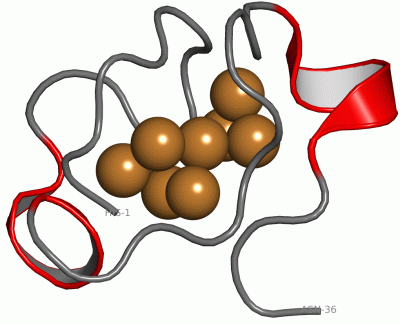 Image Asym./Biol. Unit - manually