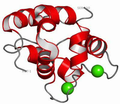 Image NMR Structure - manually