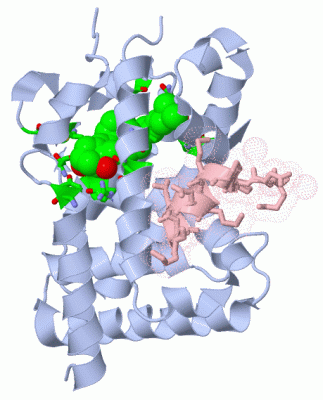 Image Biol.Unit 1 - manually