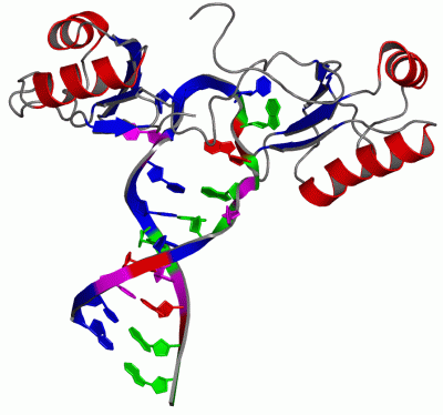 Image NMR Structure - manually