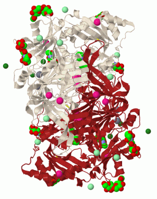 Image Biol.Unit 1 - manually