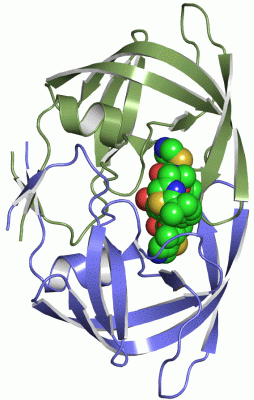 Image Asym./Biol. Unit - manually