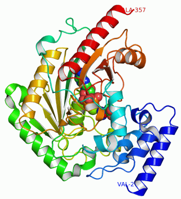 Image Asym./Biol. Unit - manually