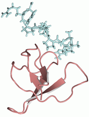 Image NMR Structure - manually