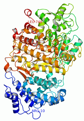 Image Asym./Biol. Unit - manually