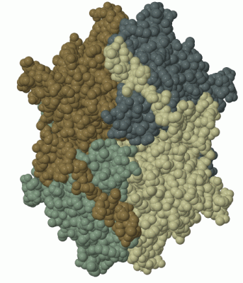 Image Biol.Unit 1 - manually