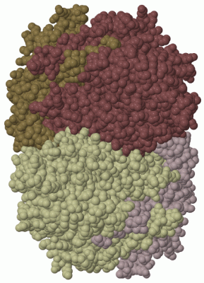 Image Biol.Unit 1 - manually