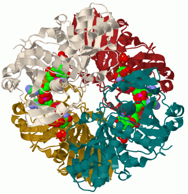 Image Biol.Unit 1 - manually