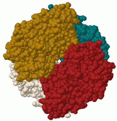 Image Biol.Unit 1 - manually