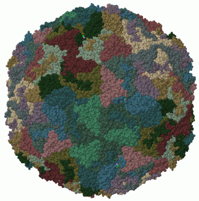 Image Biol.Unit 1 - manually