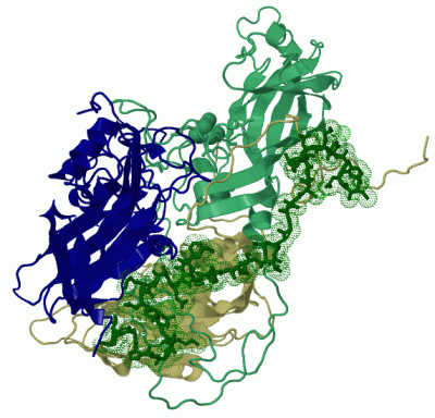 Image Asym.Unit - manually