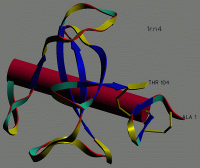 Image Asym./Biol. Unit - manually