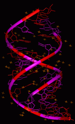 Image Asym./Biol. Unit - manually