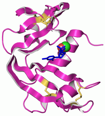 Image Asym./Biol. Unit - manually