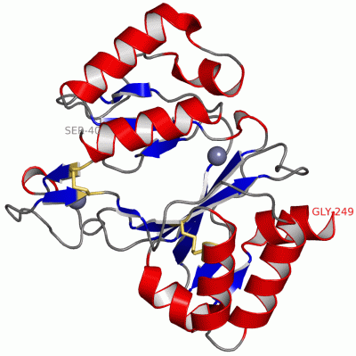 Image Asym./Biol. Unit - manually