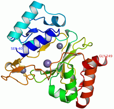 Image Asym./Biol. Unit - manually