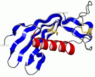 Image Asym./Biol. Unit - manually