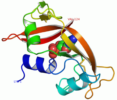 Image Asym./Biol. Unit - manually