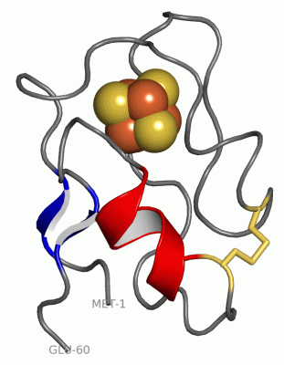 Image NMR Structure - manually