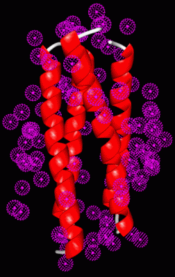 Image Biol.Unit 1 - manually