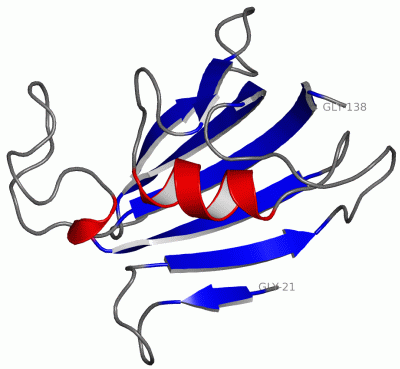 Image NMR Structure - manually