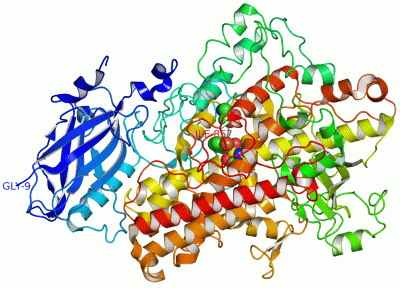 Image Asym./Biol. Unit - manually