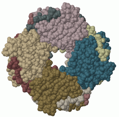 Image Biol.Unit 1 - manually