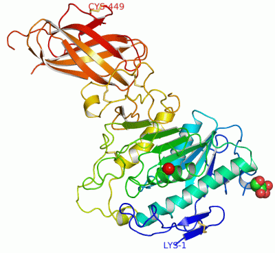 Image Asym./Biol. Unit - manually