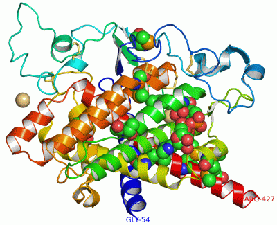 Image Asym./Biol. Unit - manually
