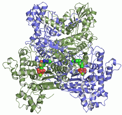 Image Asym./Biol. Unit - manually