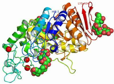 Image Asym./Biol. Unit - manually