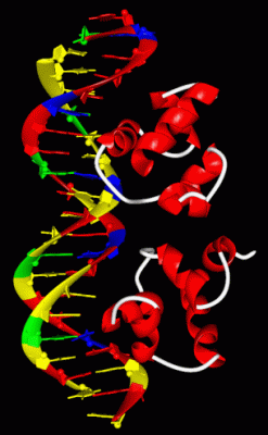 Image Asym./Biol. Unit - manually