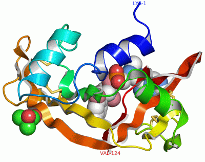 Image Asym./Biol. Unit - manually