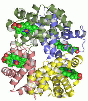 Image Asym./Biol. Unit - manually