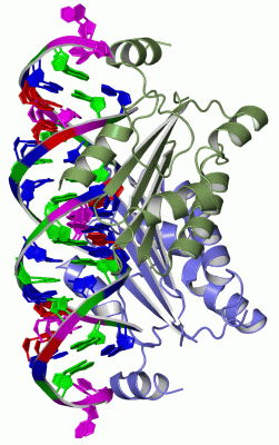 Image Asym./Biol. Unit - manually